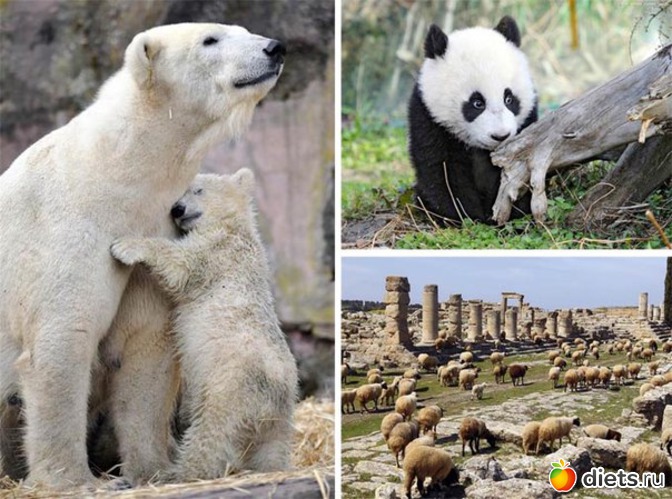 47 ����: ������������ �������!))))))))))