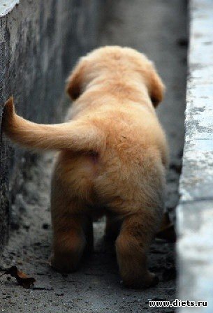 ������������ �������!))))))))))