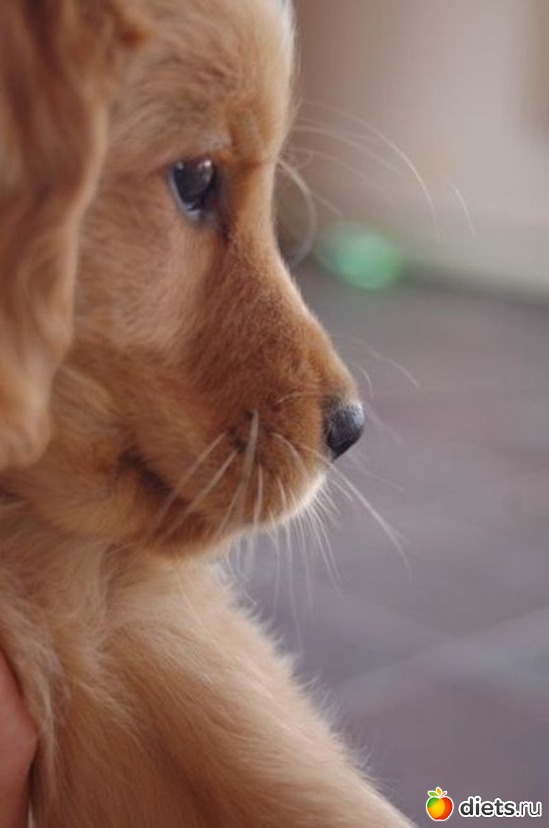 50 ����: ������������ �������!))))))))))