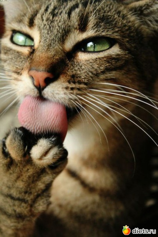 35 ����: ������������ �������!))))))))))