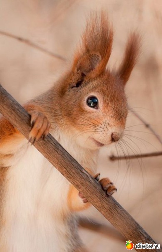 36 ����: ������������ �������!))))))))))