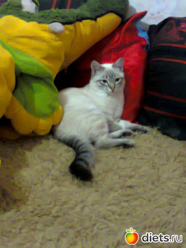 29 ����: �����