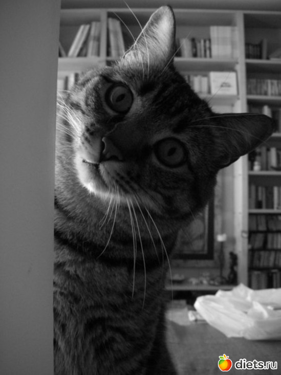 3 ����: ������������ �������!))))))))))