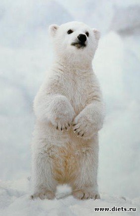 ������������ �������!))))))))))