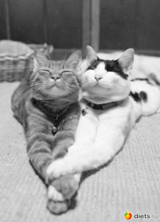 7 ����: ������������ �������!))))))))))