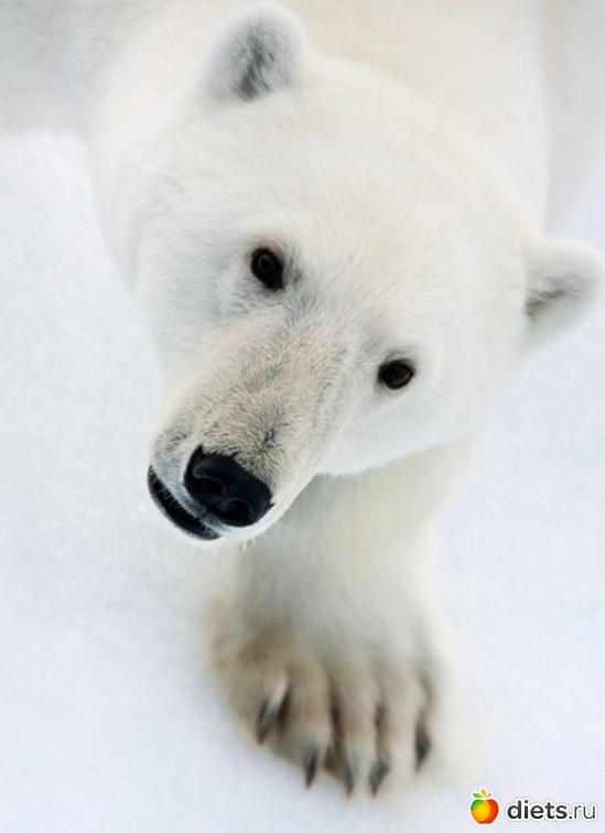 8 ����: ������������ �������!))))))))))