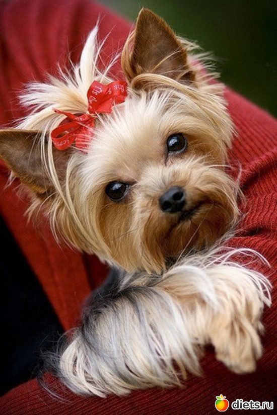 9 ����: ������������ �������!))))))))))