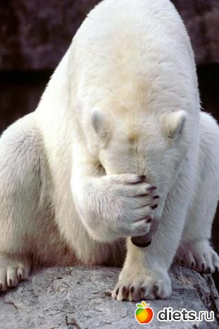 ������������ �������!))))))))))