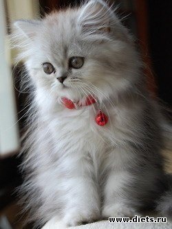 ������������ �������!))))))))))