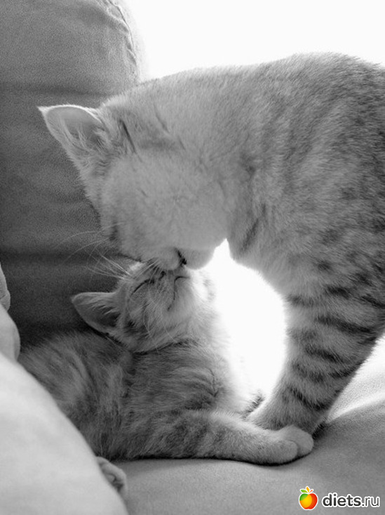 12 ����: ������������ �������!))))))))))