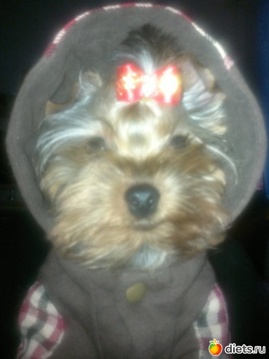 76 ����: ������������ �������!))))))))))