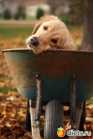 ������������ �������!))))))))))