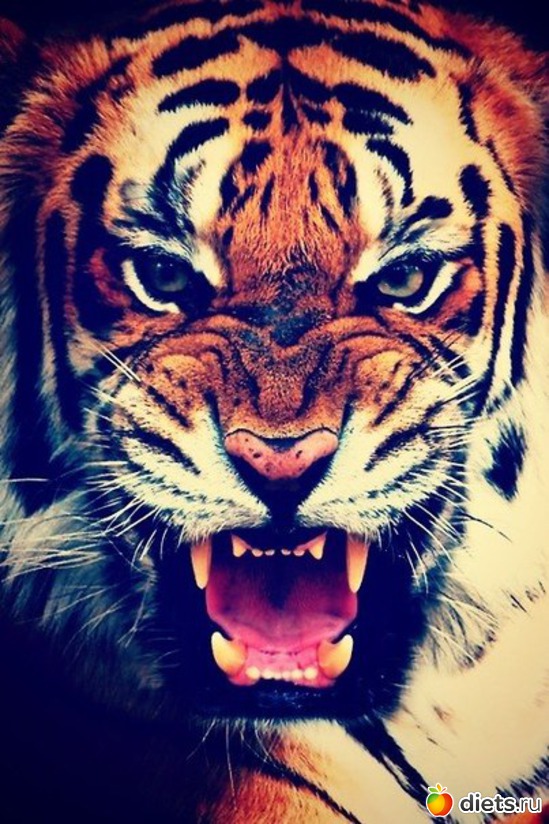 61 ����: ������������ �������!))))))))))