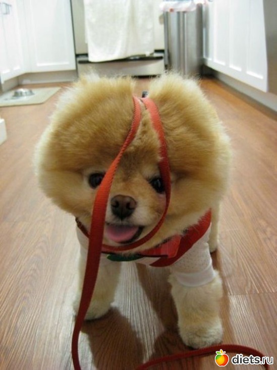 79 ����: ������������ �������!))))))))))