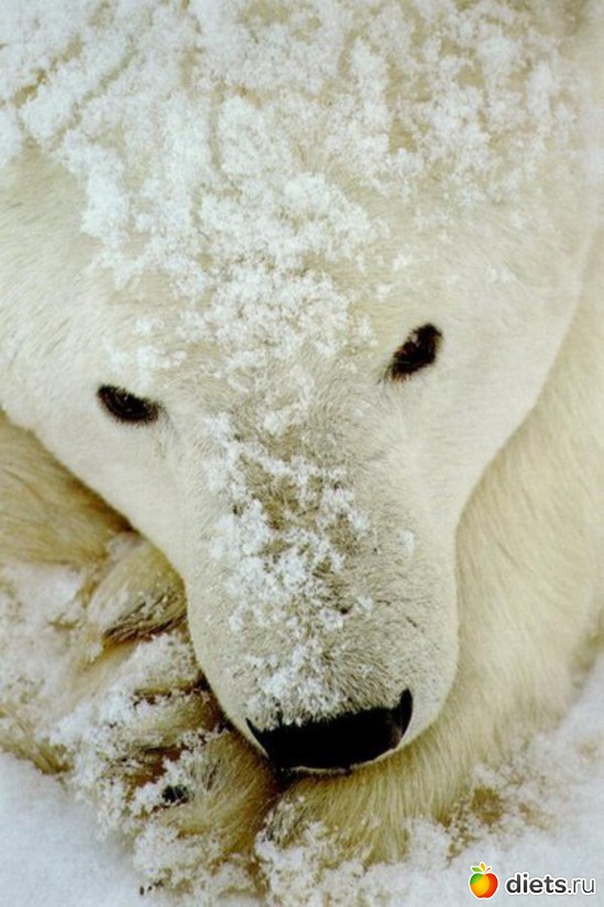 13 ����: ������������ �������!))))))))))