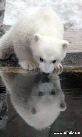 ������������ �������!))))))))))