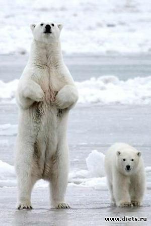 ������������ �������!))))))))))