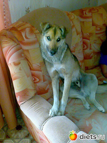 ���! ��� �������� �������! ����� ����� �����������������!)))