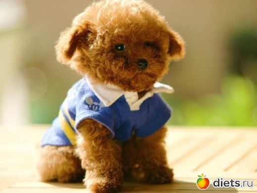 ������������ �������!))))))))))