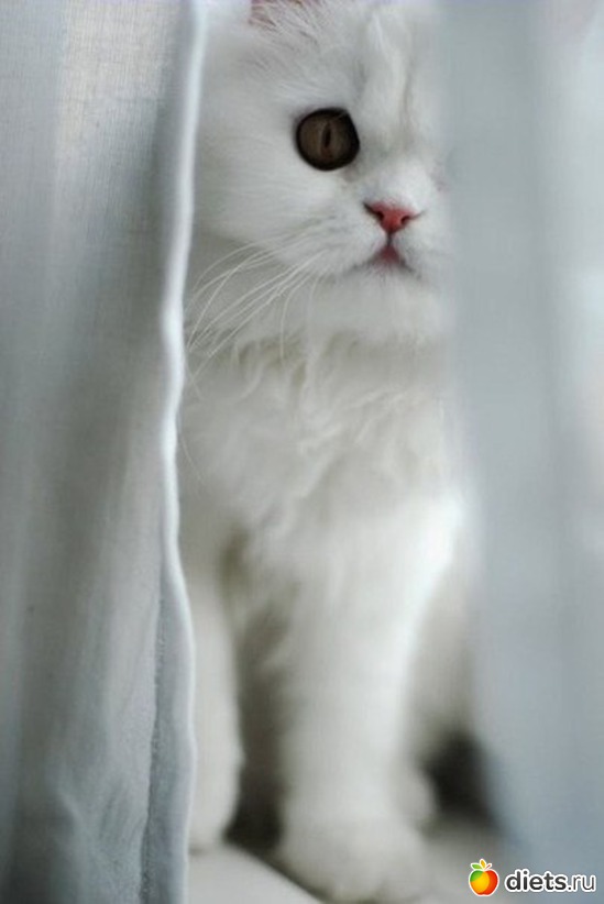 19 ����: ������������ �������!))))))))))