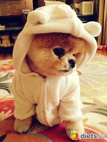 ������������ �������!))))))))))