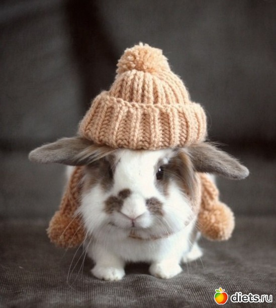 22 ����: ������������ �������!))))))))))