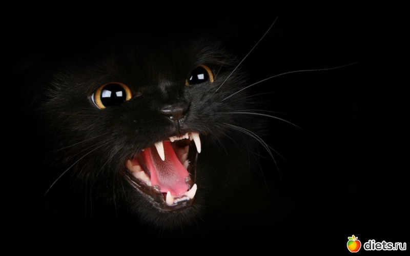 7 ����: ���� �� ������� ����