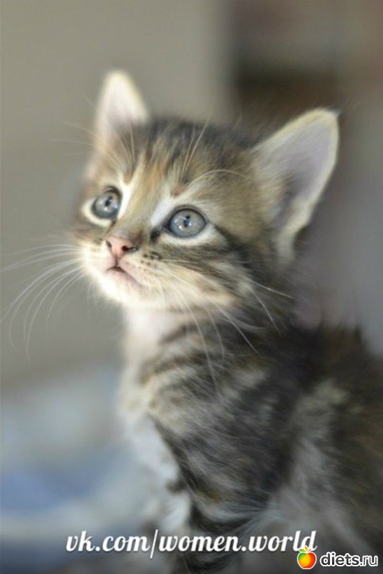 37 ����: ������������ �������!))))))))))