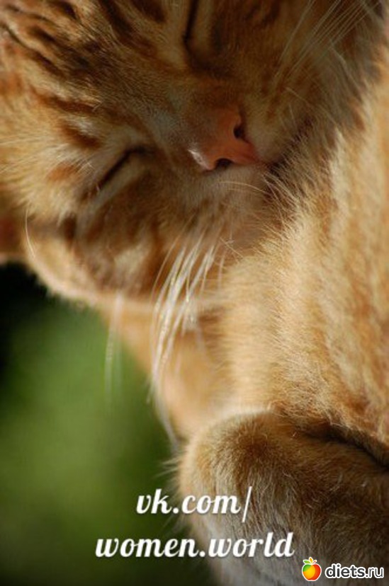 38 ����: ������������ �������!))))))))))