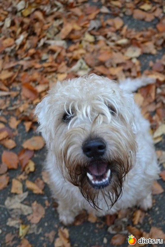 84 ����: ������������ �������!))))))))))