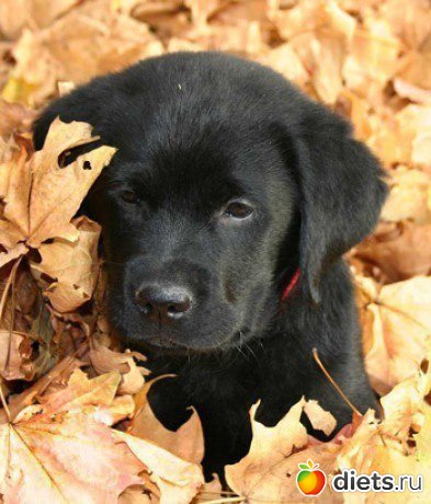 ������������ �������!))))))))))