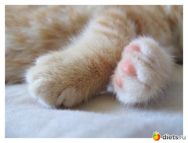 23 ����: ������������ �������!))))))))))