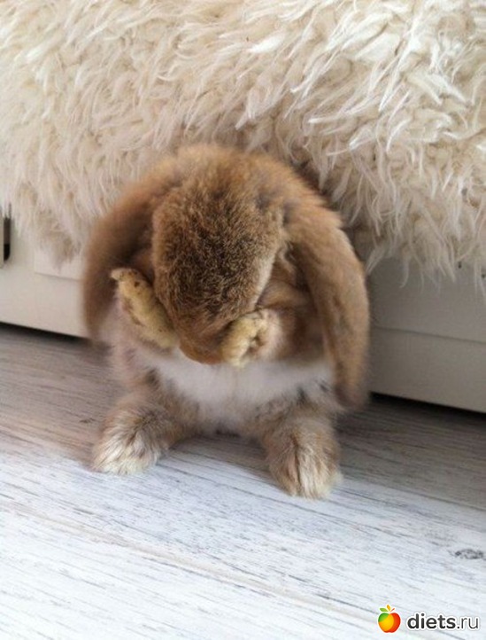 24 ����: ������������ �������!))))))))))