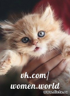 ������������ �������!))))))))))