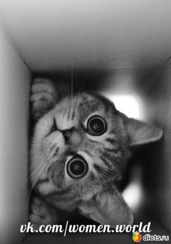 40 ����: ������������ �������!))))))))))