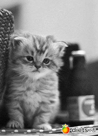 ������������ �������!))))))))))