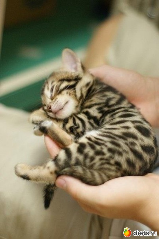 89 ����: ������������ �������!))))))))))