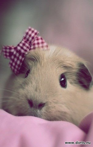 ������������ �������!))))))))))