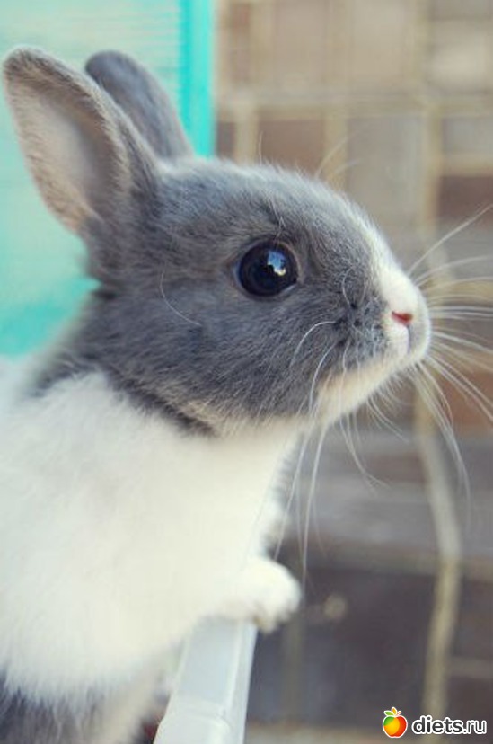 67 ����: ������������ �������!))))))))))