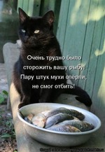 Трудно же сторожить вашу рыбу...