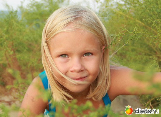 2 ����: ������ 2013