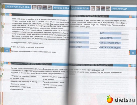 40 ����: �����