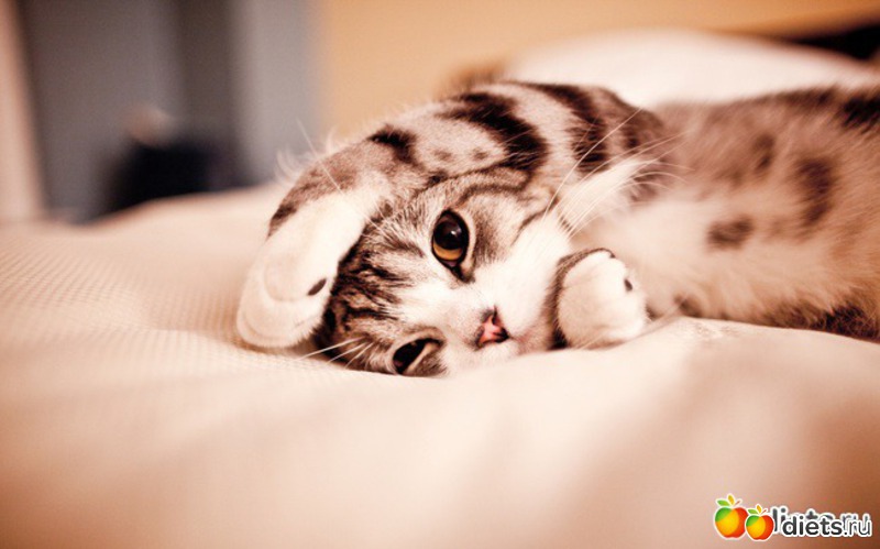 2 ����: ��������!