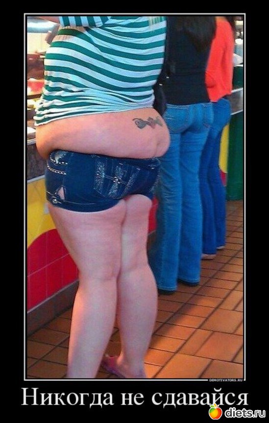 15 ����: ���������