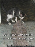 Котэ-джная подборка