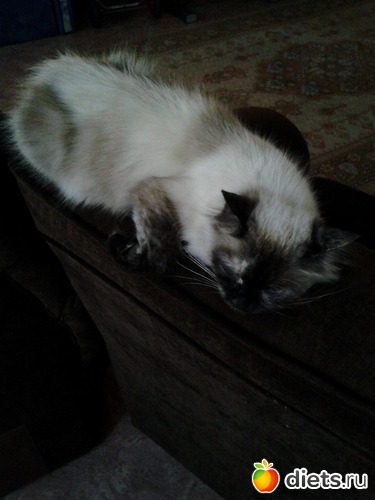 Муся :), альбом: моё