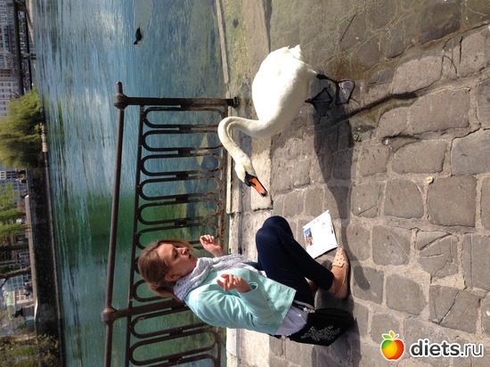 1 ����: Swiss