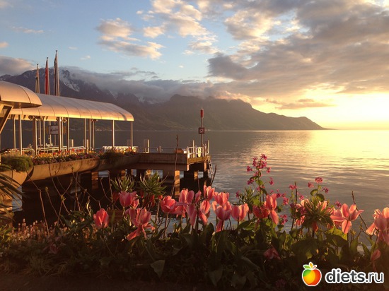 2 ����: Swiss