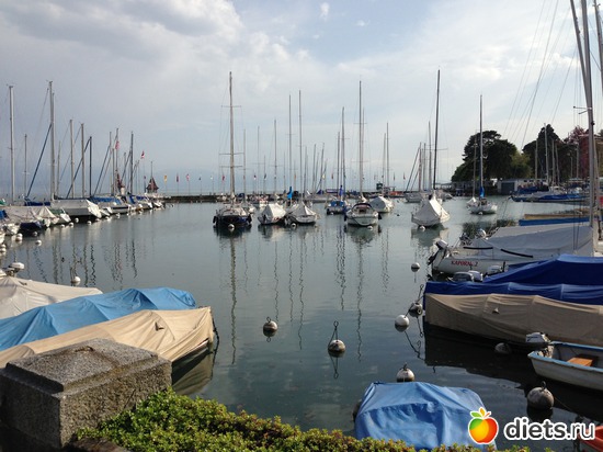 3 ����: Swiss