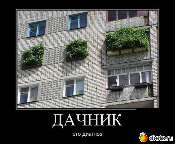 13 ����: ��������!